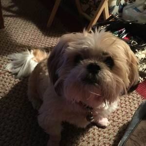 Meet your Posher, Debbie